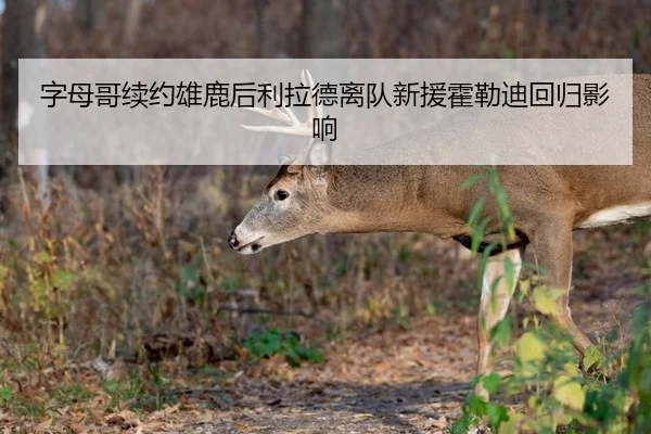 字母哥续约雄鹿后利拉德离队新援霍勒迪回归影响